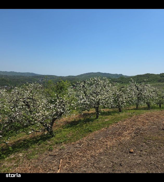 Teren 2721mp Breaza Prahova - Intravilan, Zona Exclusivista, Casa/Vila