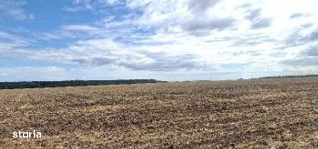Teren extravilan Branesti, ID: R2649181