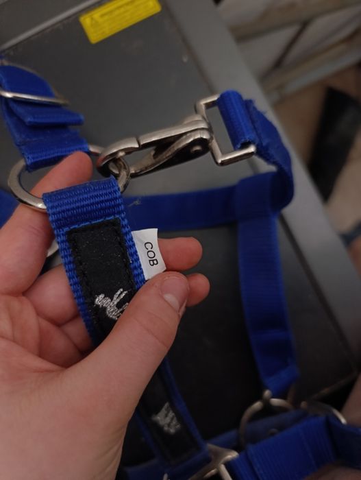 Продам недоуздок COB