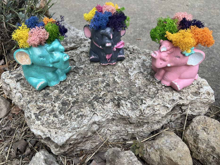 Кашпи със скандинавски мъх 8,50лв.