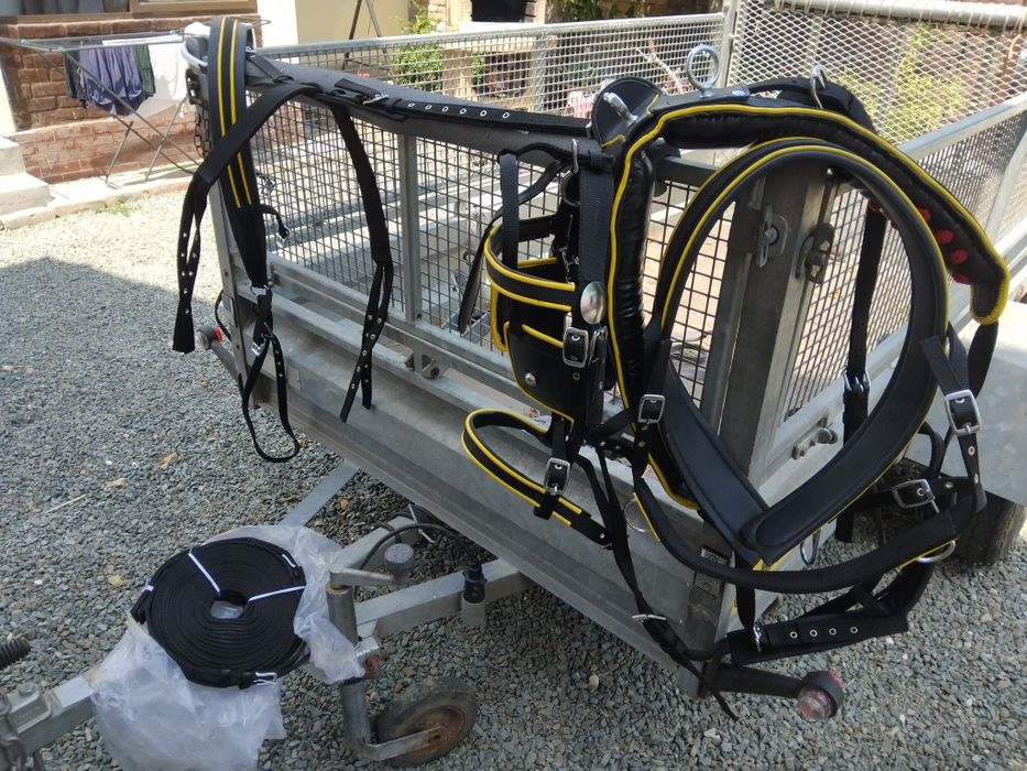 Echipament echitatie/călărie