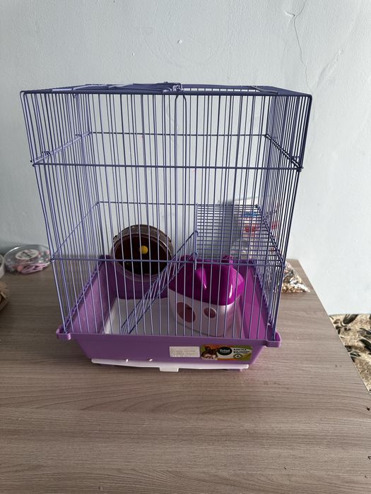 хомяк джунгарский с клеткой