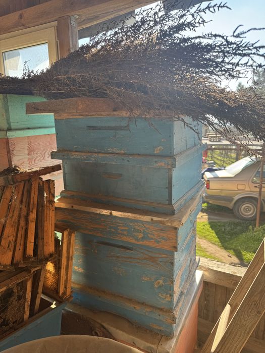 Продавам пчелни кошери- лично предаване