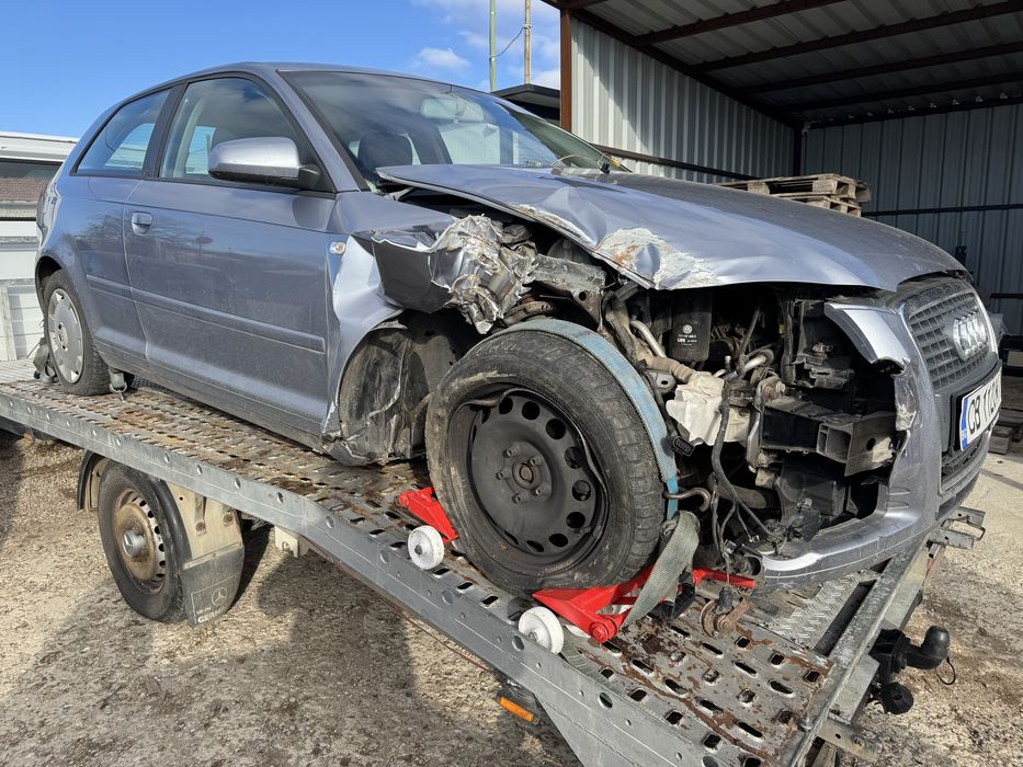 Audi A3 8P 1.9 tdi BLS
