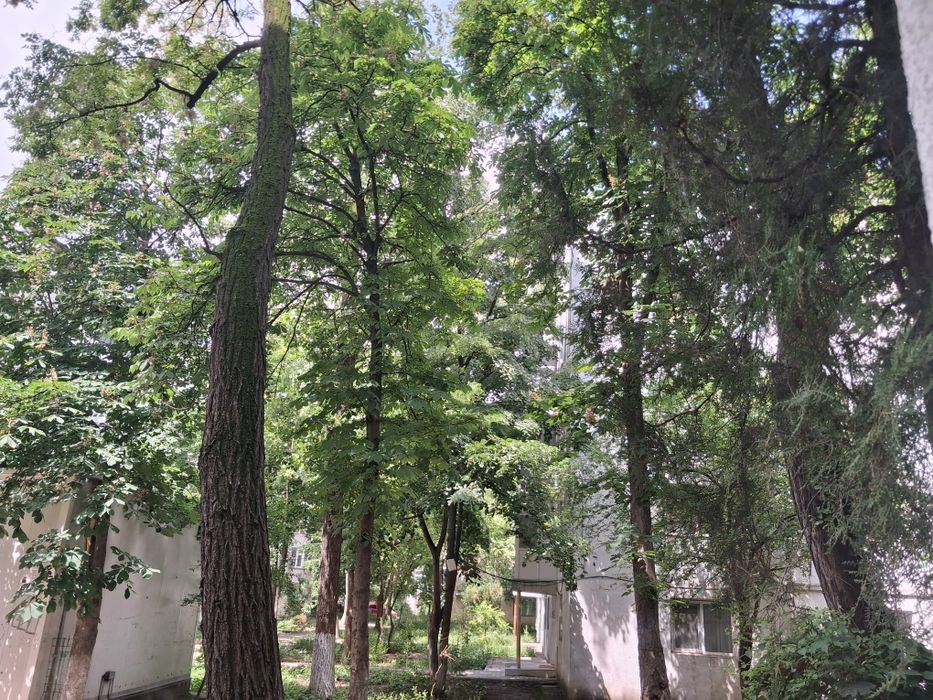 ÎNCHIRIEZ apartament Cantemir - Palas