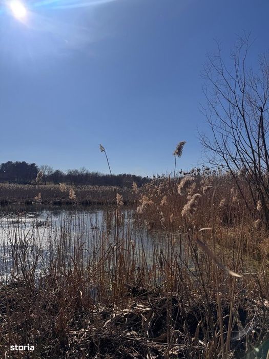Teren cu deschidere la lac str Orhideelor-conectare imediata la curent