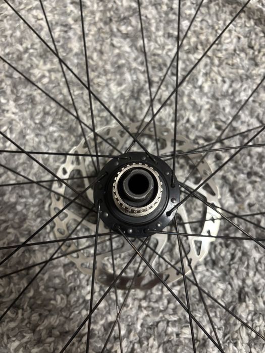 Jante focus mtb 29"