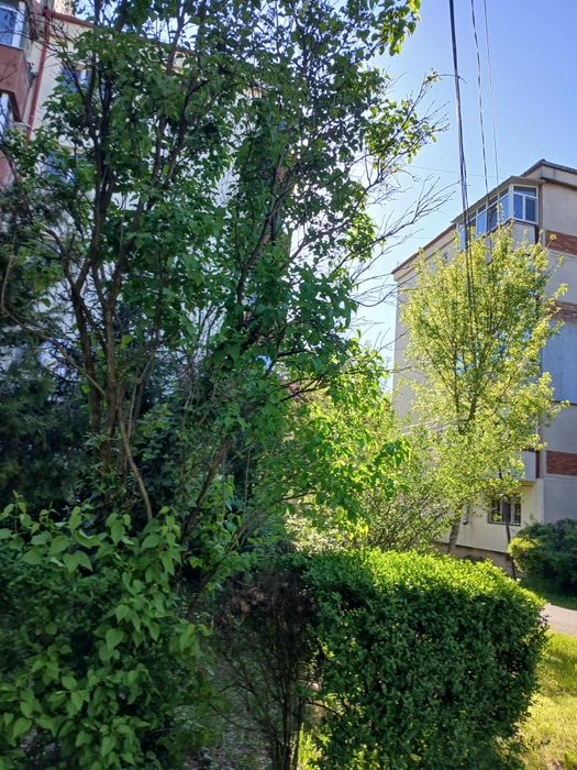 Vând garsoniera confort 1