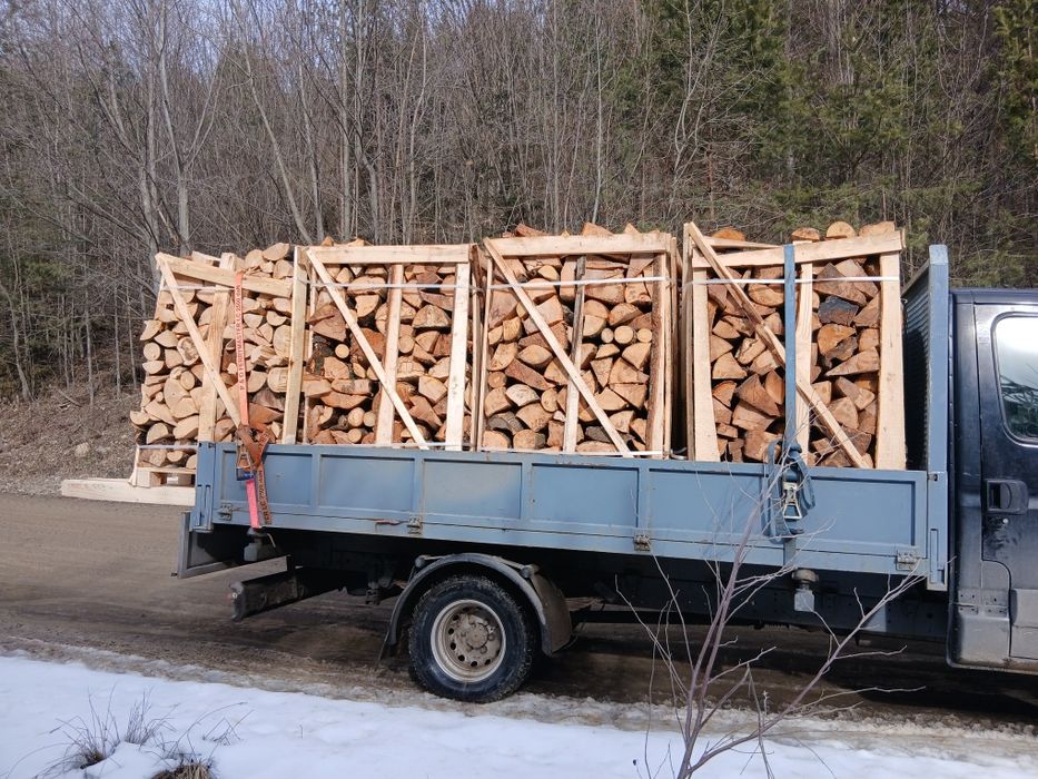 Cherestea rasinoase si lemn de foc