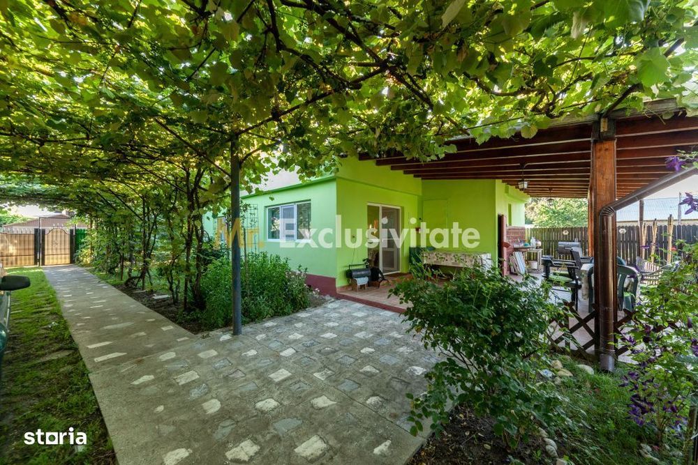 Casa vintage în com. Uliesti, jud. Dâmbovița cu livadă generoasă și an