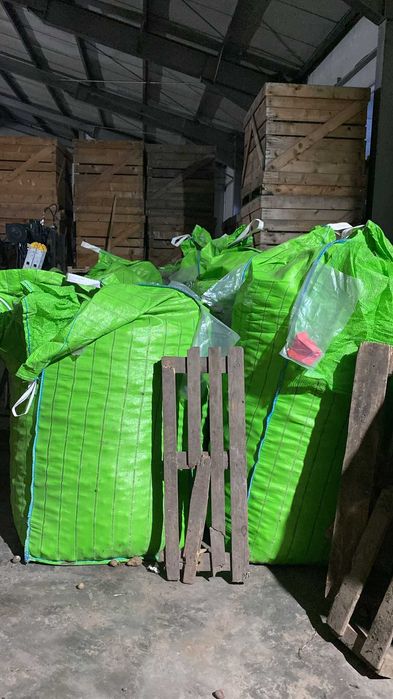 Cartofi samanta soiul Colomba(certificat + eticheta) si Laura