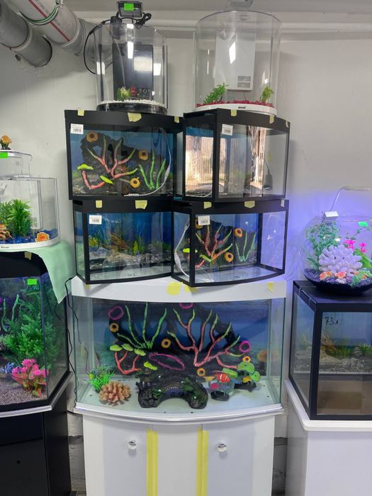 Akvarium Magazin