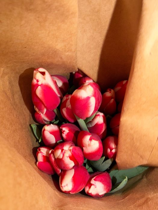 Тюльпаны на 8 марта