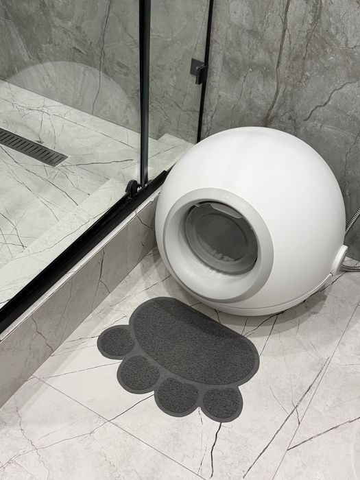 Продам котенка скоттиш фолд