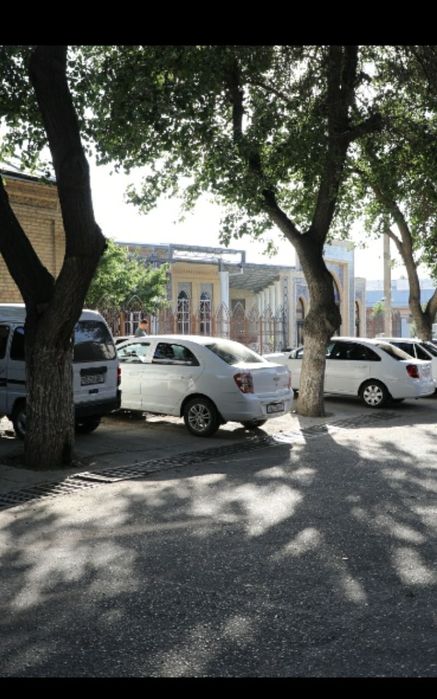 Arzon va qulay Hostel 50000 dan boshlab
