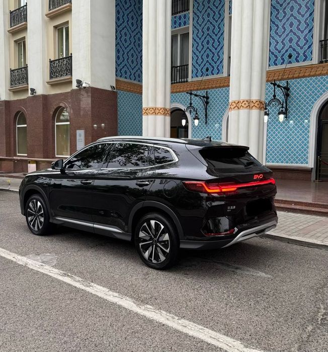 Byd champion 2025 smart