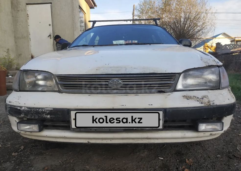 Карина Е на ходу