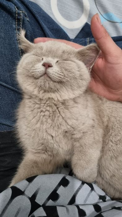 Faqat Samarqandda yashovchilar tel qilsin