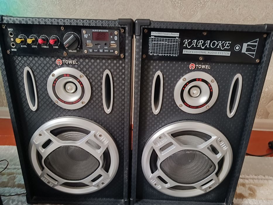 Музыкалный калонка сатылады