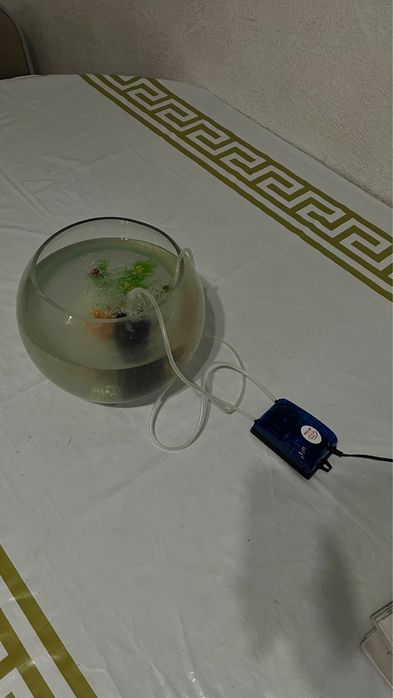 Продам новый аквариум