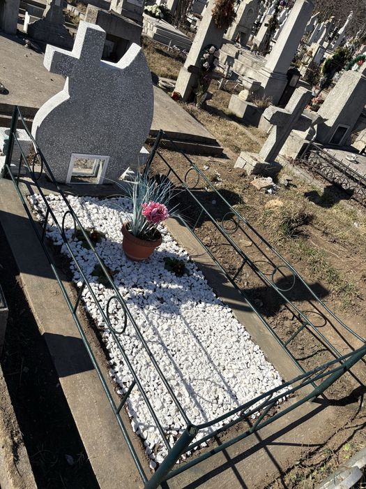 Loc de veci / Cimitir Eternitatea (aleea principală).