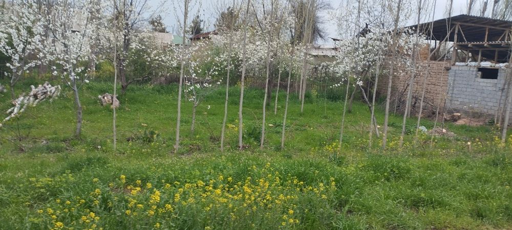 Участок  6 соток