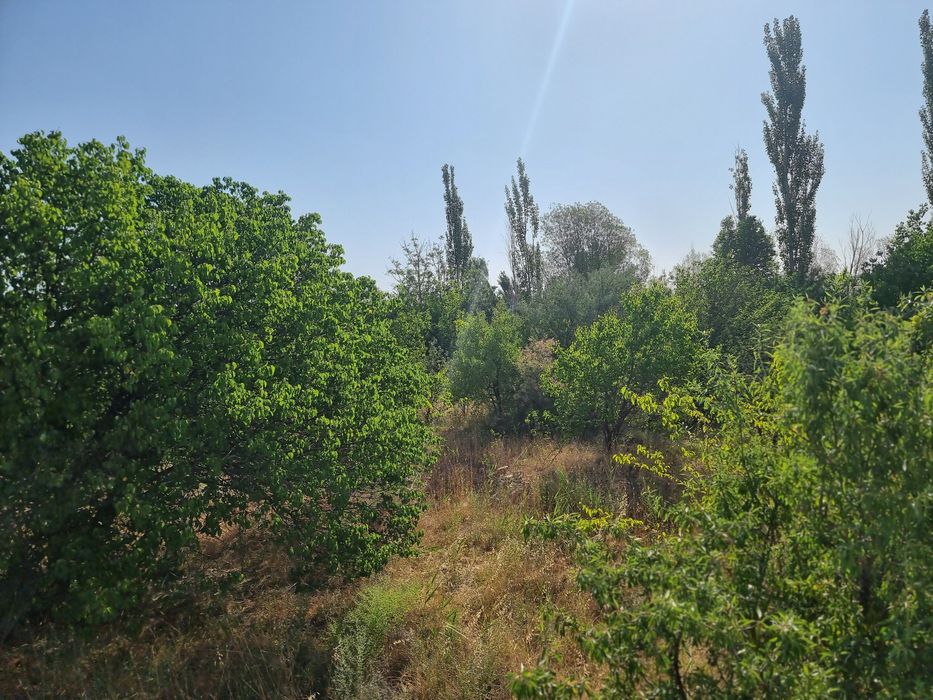 Uy sotiladi 25 000$. Ikkilamchi variatigaham bo'ladi