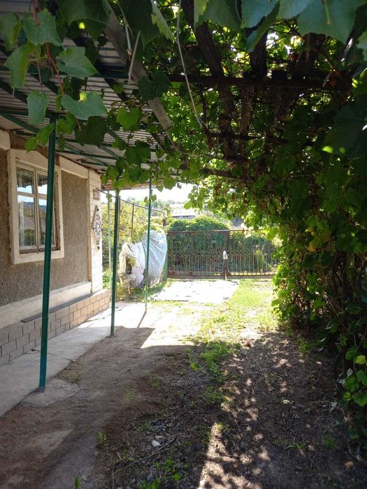 Продам дачный домик с участком в пригороде Алматы