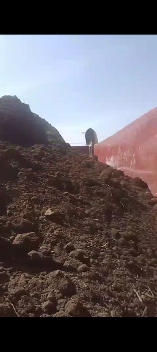 Навоз пергной хорошый