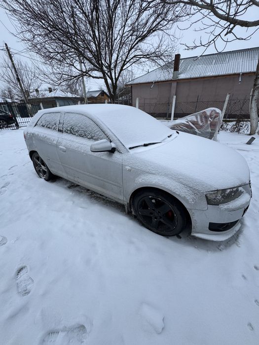 Audi a3 8p 2006 BKD 2.0