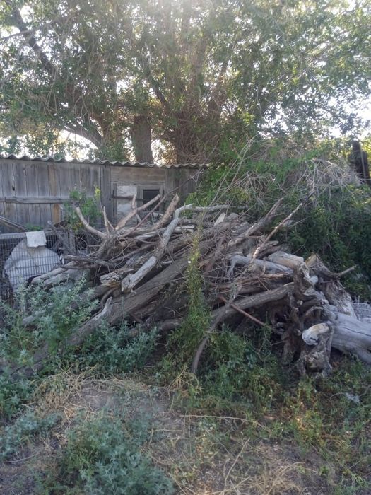 Продаются дрова плодовых деревьев