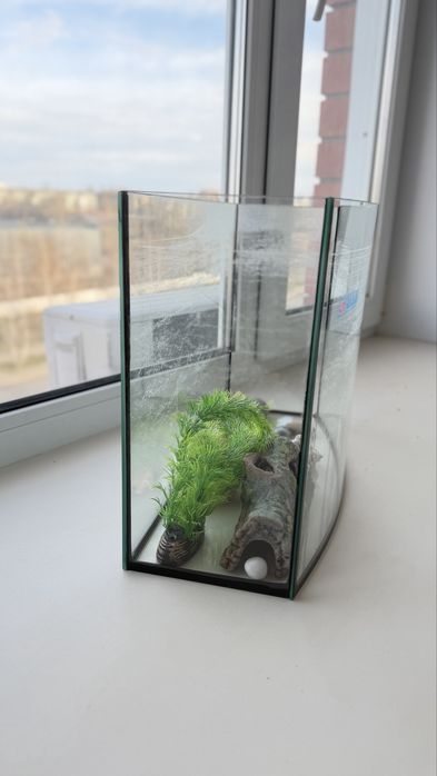 Панарамный аквариум