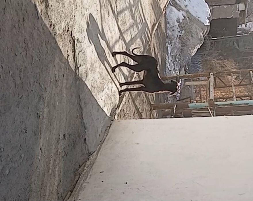 Тазы жеті қазына !