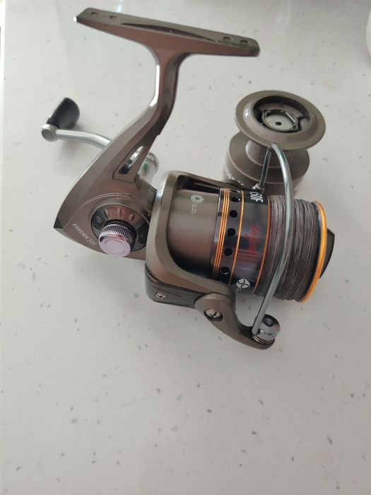 Mulineta Carp Zoom și DAM