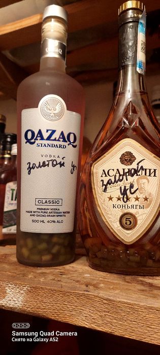 Продам настойку золотого уса и отростки по 500 тенге