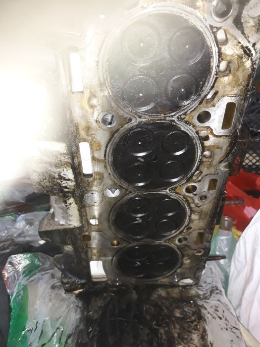 Chiuloasa complecta,baie ulei x drive Bmw n47