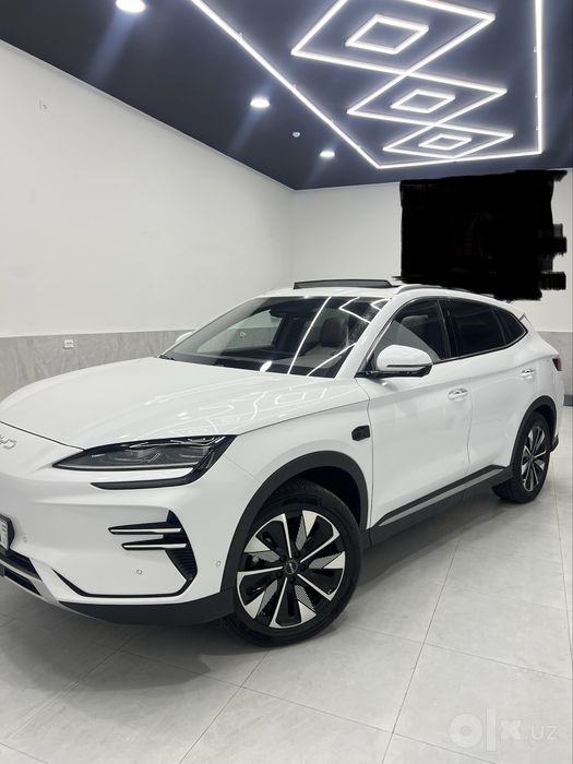 BYD smart 2025 yil