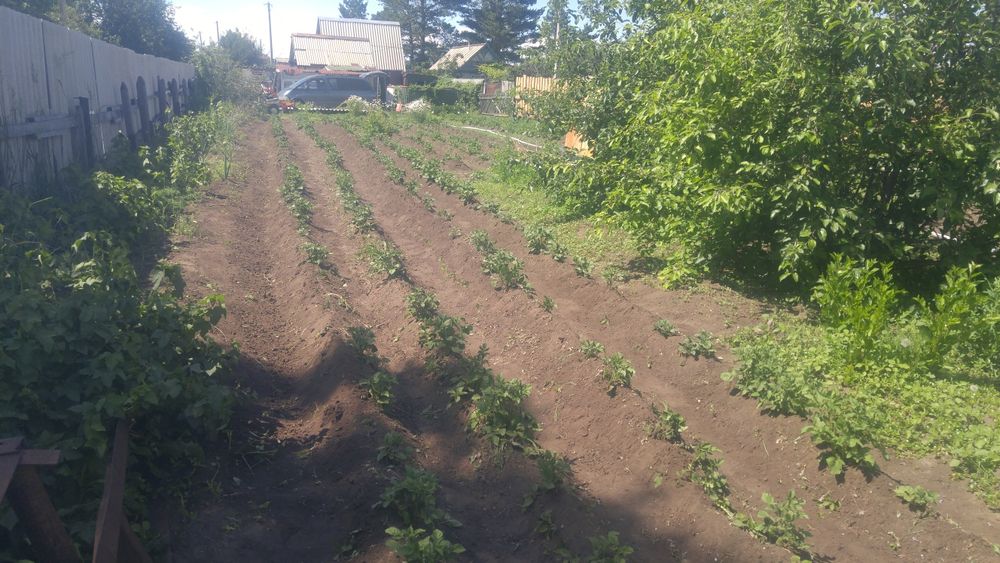 Продам дачу в СО Чапаева