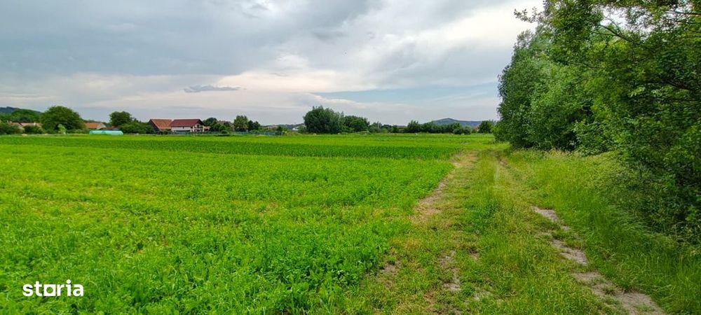 Teren cu sura in spatele caselor de pe str Andrei Saguna