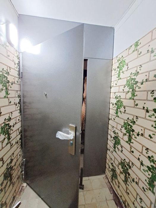 Железные двери от 100000