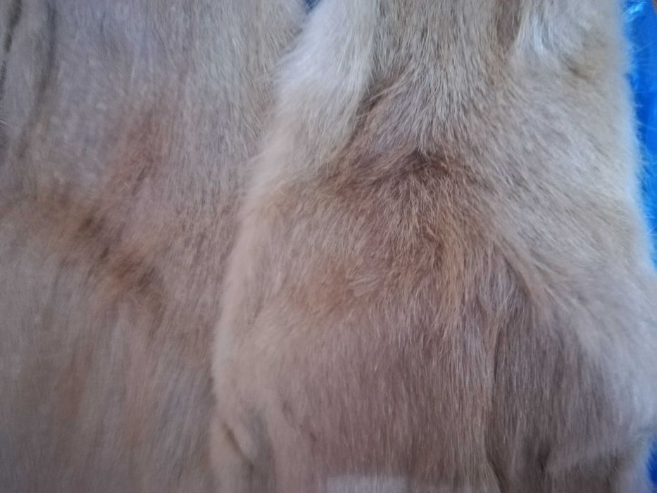 Blanite Nutrie intregi