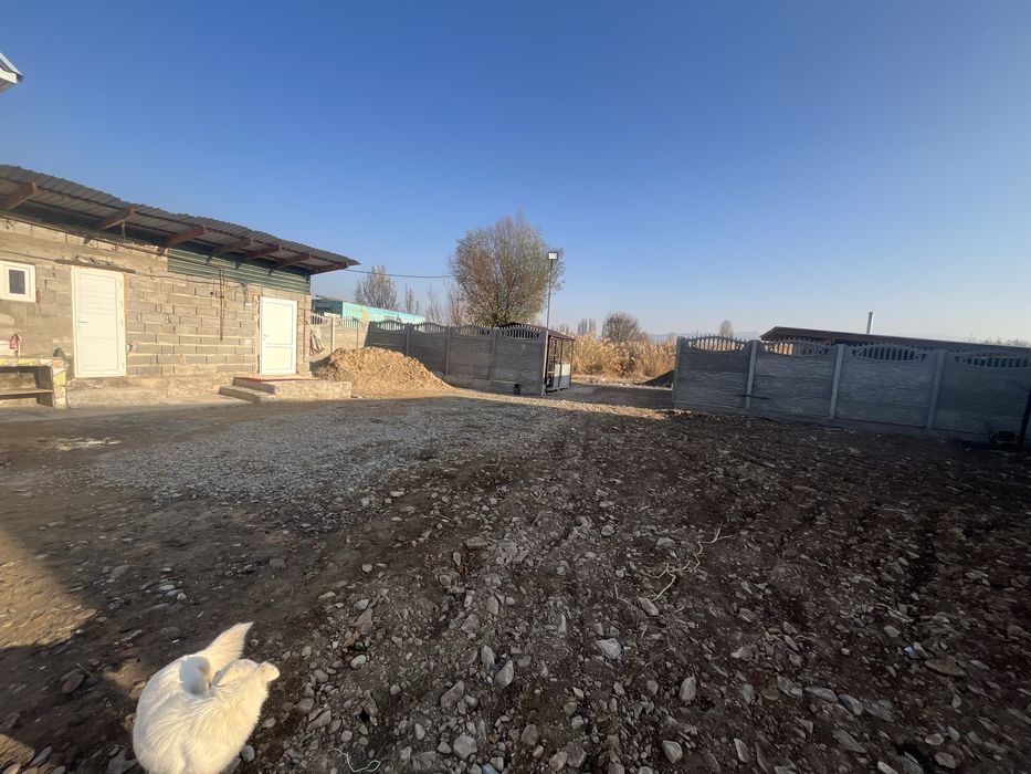 Продаётся дом в селе Гродикова