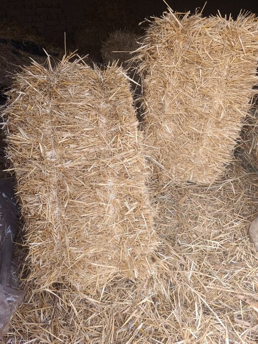 Somon pres sotiladi (boʻkada)