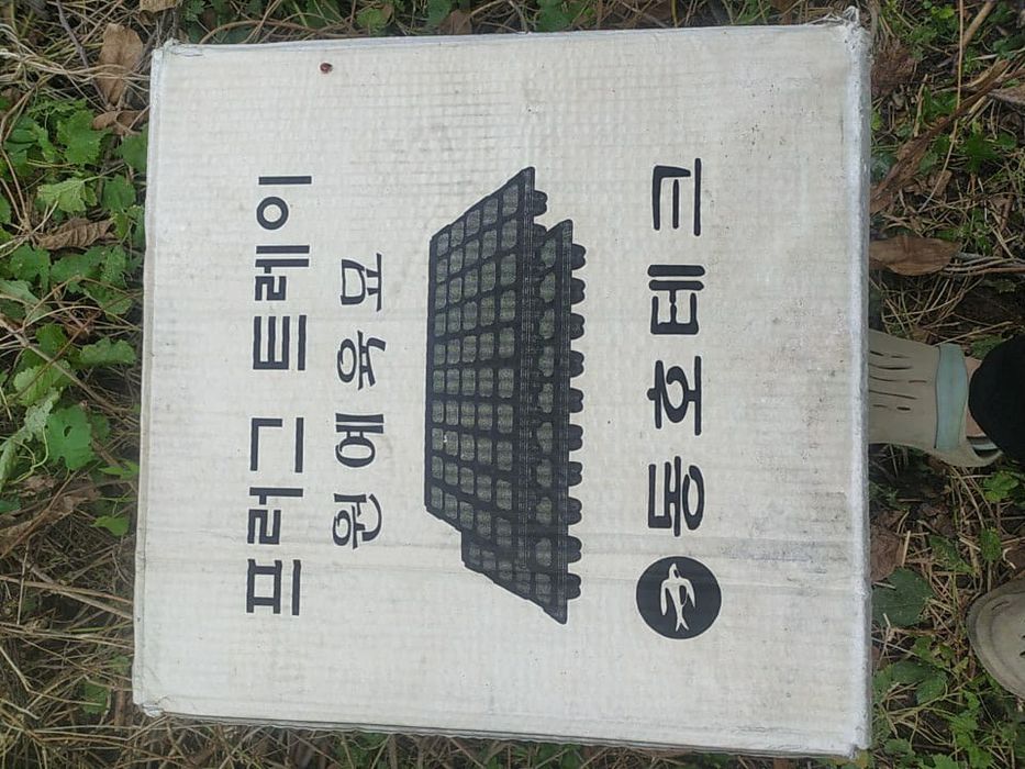 Корейские Кассеты для рассады