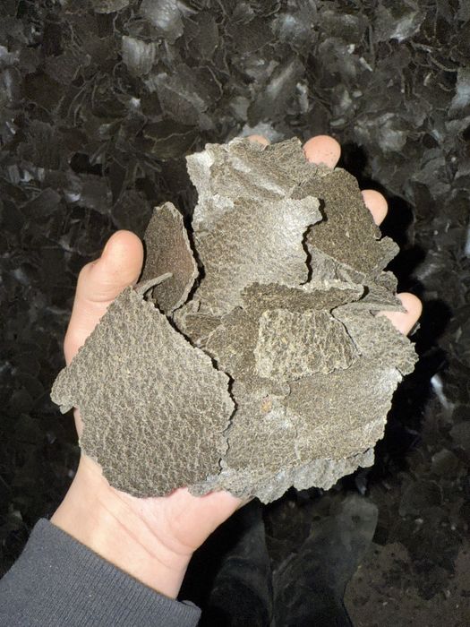 Шрот подсолнуха жмых