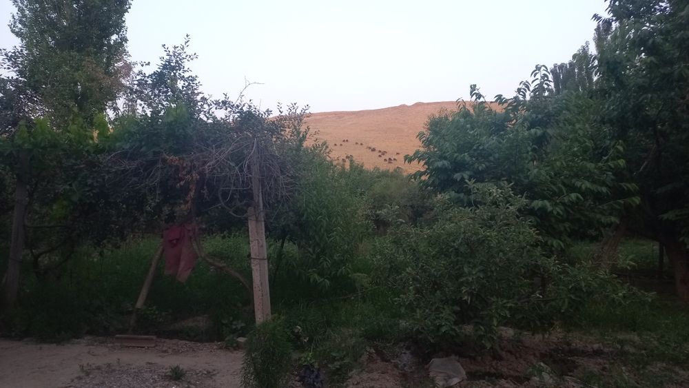 Үи сатылады 16соток