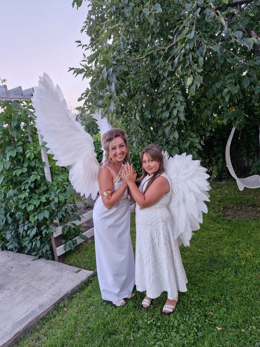 Сдам крылья в прокат