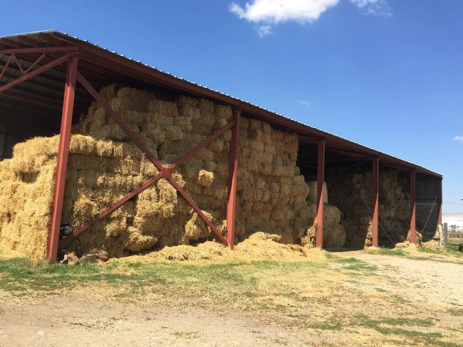 Продава се Парцел в с. Дълбок извор, Област Пловдив - 9100 кв.м за 21 €/кв.м - Снимка #3