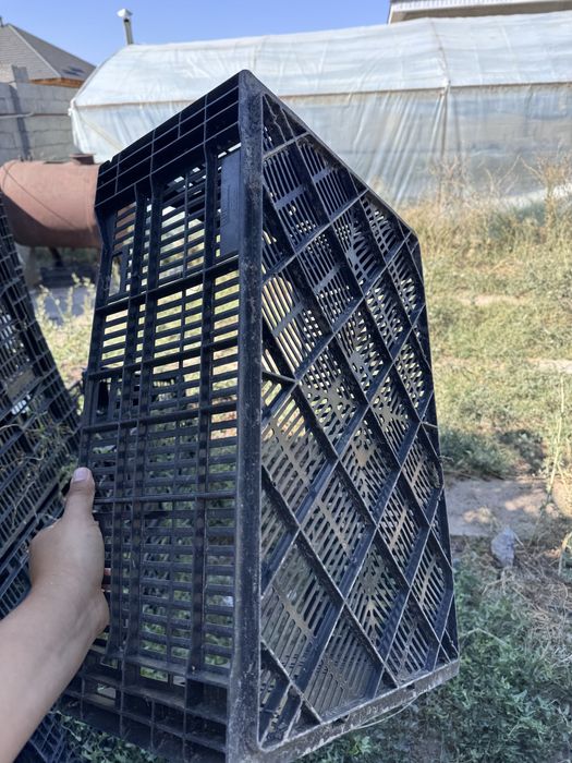 Ящики от тюлпанов крепкие