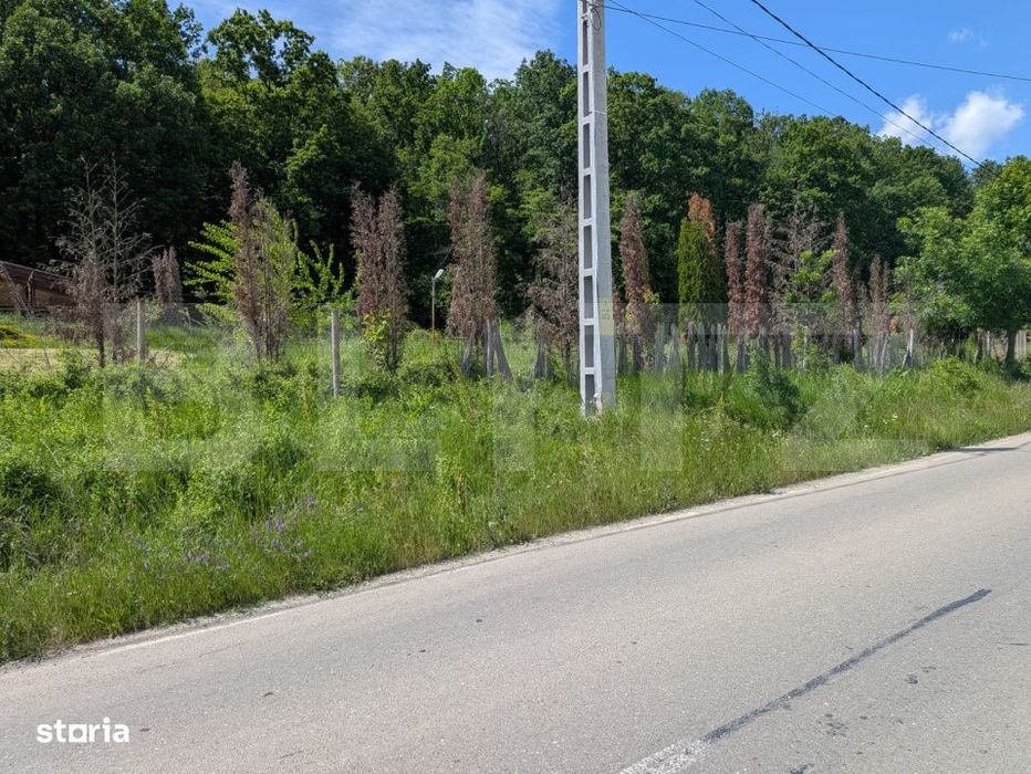 Teren intravilan cu Panorama Superba Aatre Padure – Hulubesti, Buto
